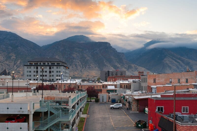 Provo Pest Control: Avoid Bed Bug Infestations Today