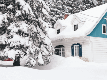 Defend Your Home from Winter Pest Invasion