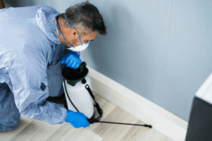 Professional pest control technician