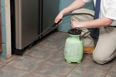 Close-up of a technician using a pressurized sprayer to treat the area behind a kitchen appliance for pests.