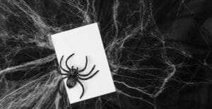 A black spider on a blank white card