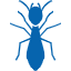 Icon of an ant.
