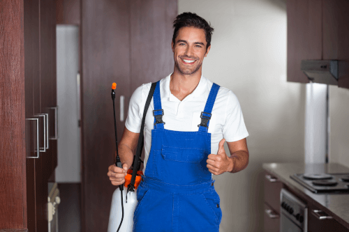 How Do Insecticides Work?