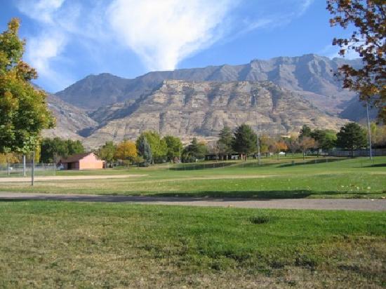 A beautiful park with wide-open grassy fields.