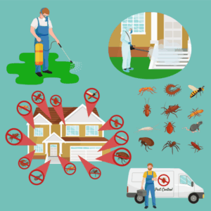 Concept pest control