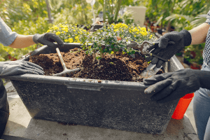 Large rectangular planter box