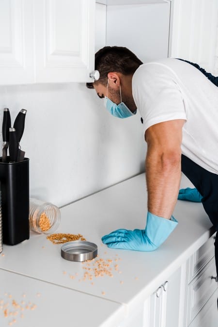 Exterminator standing near kitchen