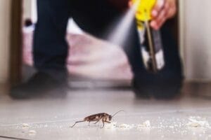 a human spraying aerosol poison to kill a cockroach