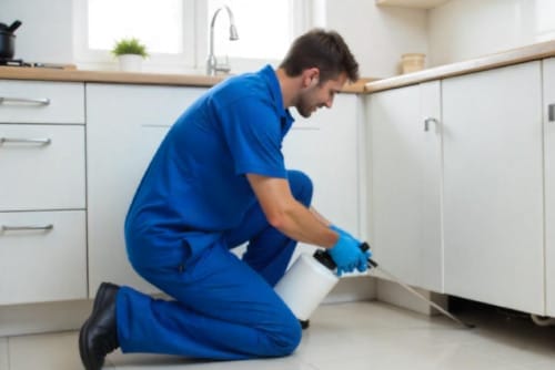 How Long Does Pest Control Treatment Last?