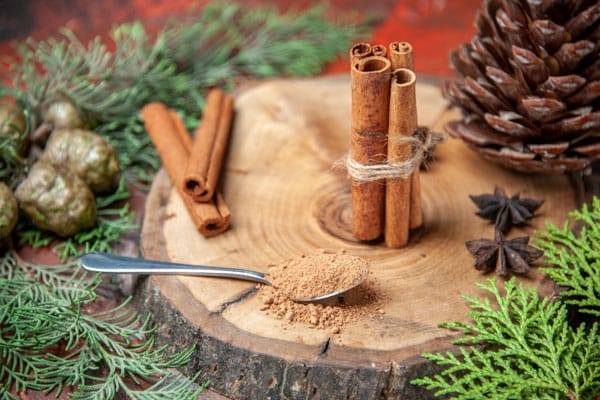 Spices arranged on wood: cinnamon sticks, ground cinnamon, star anise, pinecone, and evergreen.