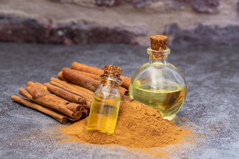 Natural Ant Repellents: Does Cinnamon Really Work?