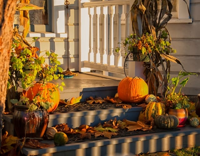 What’s the Most Effective Way to Pest-Proof My Home This Fall?