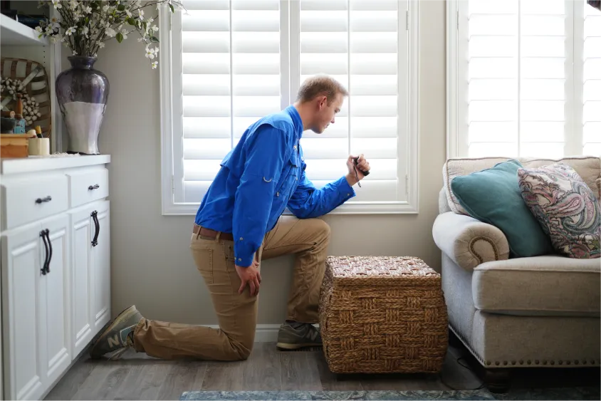 beeline pest control