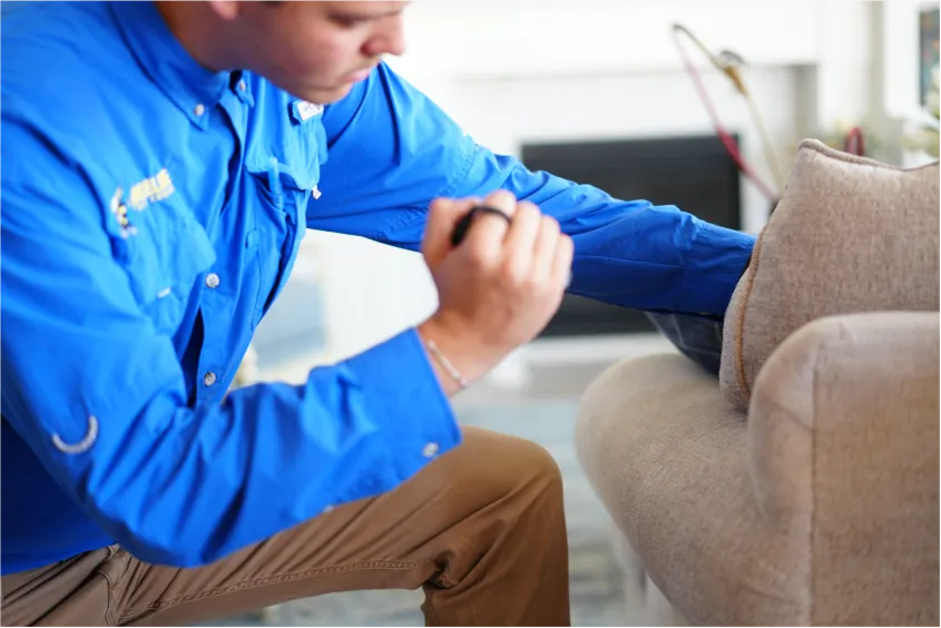 Field agent checking for bugs and pests on a couch