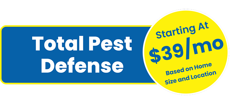 pest control pricing